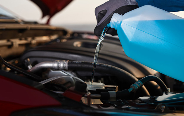 antifreeze being poured into a car